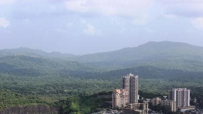 The move aimed at curbing encroachments, poaching attempts in the 103-sq-km national park. (HT Photo) The move aimed at curbing encroachments, poaching attempts in the 103-sq-km national park. (HT Photo)