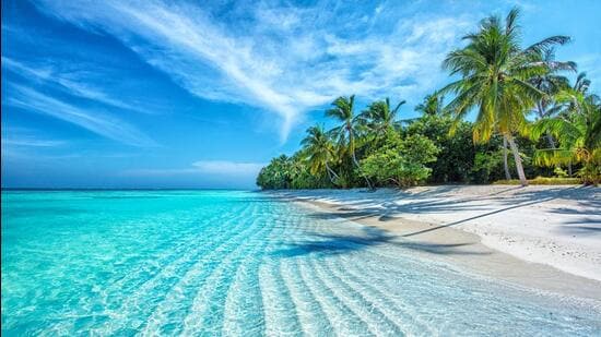 Indian travellers to Maldives warned by NCB over strict anti-drug laws, rising smuggling cases, and severe penalties for possession and trafficking (Shutterstock)