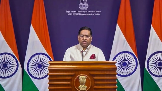 External Affairs Ministry spokesperson Randhir Jaiswal did not respond elaborately on Trump's "hellhole" remark. (PTI)