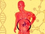 Simple routine for healthy gut for busy professionals.