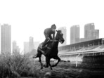 A city in transition, against the backdrop of rising towers, incomplete infrastructure and a jockey on horseback.