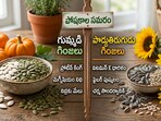 గుమ్మడి గింజలు వర్సెస్​ పొద్దుతిరుగుడు గింజలు..(AI Generated Image)