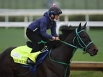Danon Bourbon trains on the track during morning workouts ahead of the running of the 152nd Kentucky Derby at Churchill Downs on April 25. Danon Bourbon trains on the track during morning workouts ahead of the running of the 152nd Kentucky Derby at Churchill Downs on April 25.