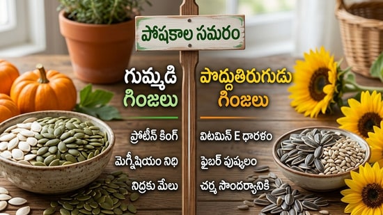 గుమ్మడి గింజలు వర్సెస్ పొద్దుతిరుగుడు గింజలు.. (AI Generated Image)
