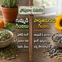 గుమ్మడి గింజలు వర్సెస్​ పొద్దుతిరుగుడు గింజలు..