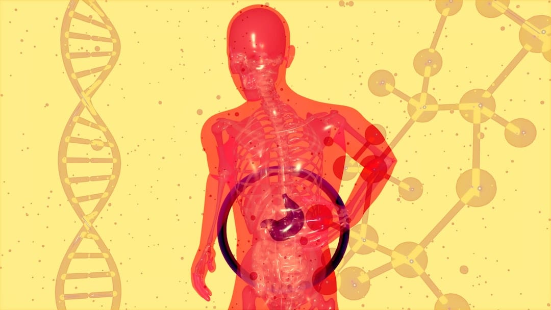 Early signs of fatty liver are usually mild, non-specific, and often missed. (Unsplash)
