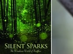 Tsuneaki Hiramatsu’s photo adorns the jacket cover of Prof Sara Lewis’s acclaimed book on fireflies; and (right) an Indian firefly species, Abscondita perplexa, photographed by Md Parvez.