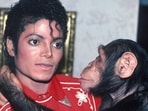 Michael Jackson brought Bubbles home in 1983 and he has been living in an apes sanctuary since 2005.