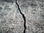 San Francisco earthquakes: 2 tremors shake SF Zoo, residents speak out