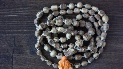 Tulasi Mala: తులసి మాలను ఏ రోజు ధరిస్తే శుభ ఫలితాలు కలుగుతాయి?