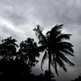 আগুন ঝরা গরমকে মাত দিতে আসছে পর পর পশ্চিমী ঝঞ্ঝা, শুরু হবে বৃষ্টির ইনিংস?. (ANI Photo)
