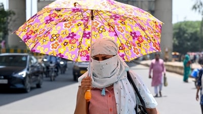 IFS officer links rising temperatures in Bengaluru to disforestation. (HT Photo) IFS officer links rising temperatures in Bengaluru to disforestation. (HT Photo)