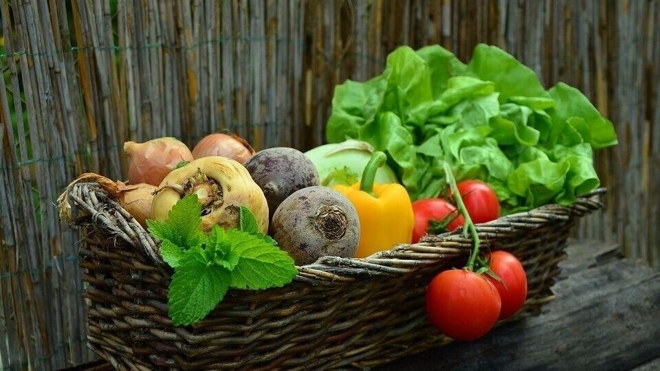 চুল পড়া রুখতে এই খাবারগুলি আপনার ডায়েট চার্টে আছে তো! ঘরোয়া টিপস একনজরে