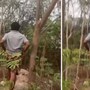 అసభ్యంగా ప్రవర్తించిన వ్యక్తి