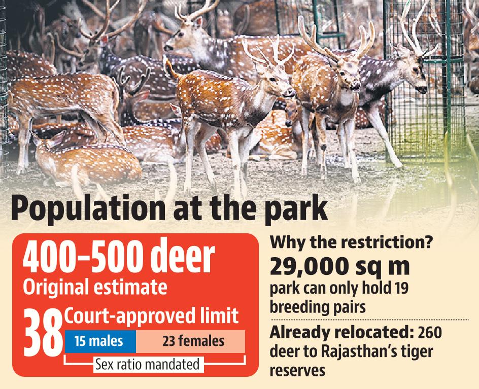 deer park deer park