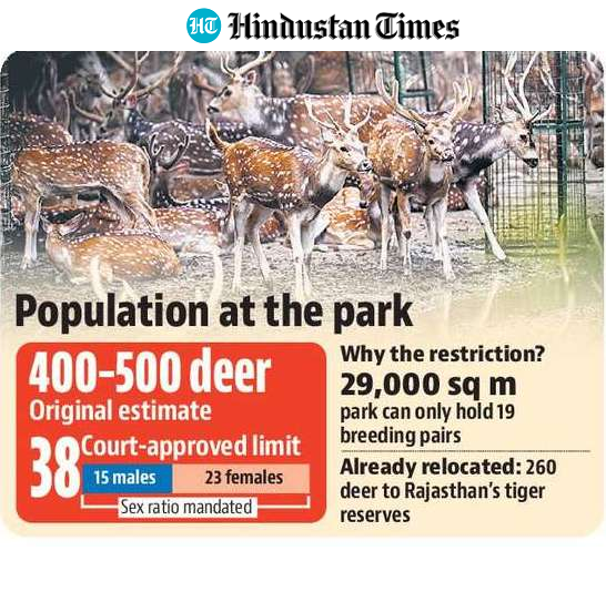 Population at deer park (HT) Population at deer park (HT)