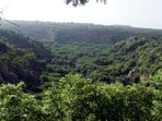 States have been asked to follow the procedure and submit proof of penal afforestation for regularisation of such projects.