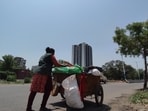 With afternoon temperatures in Pune regularly exceeding 40°C this month, these delays are exposing waste pickers, the majority of them being women, to serious heat-related health risks. (HT)