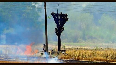 Farmers burn stubble on the outskirts of Ludhiana on Wednesday. According to the data, 99.5% of wheat harvesting is already completed in the district. (Gurpreet Singh/HT) Farmers burn stubble on the outskirts of Ludhiana on Wednesday. According to the data, 99.5% of wheat harvesting is already completed in the district. (Gurpreet Singh/HT)