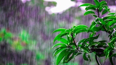 <p>ఉపరితల ఆవర్తనం, ద్రోణి ప్రభావంతో ఇవాళ ఏపీలోని మన్యం, అల్లూరి, పోలవరం, కర్నూలు, నంద్యాల, అనంతపురం జిల్లాల్లో అక్కడక్కడా పిడుగులతో కూడిన తేలికపాటి వర్షాలు కురిసే అవకాశం ఉందని ఏపీ విపత్తుల నిర్వహణ సంస్థ తెలిపింది. </p> <p>ఉపరితల ఆవర్తనం, ద్రోణి ప్రభావంతో ఇవాళ ఏపీలోని మన్యం, అల్లూరి, పోలవరం, కర్నూలు, నంద్యాల, అనంతపురం జిల్లాల్లో అక్కడక్కడా పిడుగులతో కూడిన తేలికపాటి వర్షాలు కురిసే అవకాశం ఉందని ఏపీ విపత్తుల నిర్వహణ సంస్థ తెలిపింది. </p>