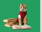 Another reason to love kitties: They saved members from fines at a public library in Massachusetts. (ADOBE STOCK)