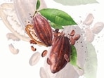 Chocolate snobs say only stuff with 80% cocoa is acceptable. Who cares? Eat what you like. (ADOBE STOCK)