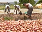 The Union government roped in CWC because it has expertise in properly storing various produce. It has been storing materials like cotton, wheat, pulses etc for different government agencies. (REPRESENTATIVE PHOTO) The Union government roped in CWC because it has expertise in properly storing various produce. It has been storing materials like cotton, wheat, pulses etc for different government agencies. (REPRESENTATIVE PHOTO)