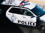 Florida sub Angela Faith Jourdan was arrested and fired after calling herself a "million dollar prostitute,"