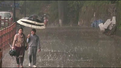 Commuters protect themselves amid heavy rainfall, in Shimla on Thursday. (ANI) Commuters protect themselves amid heavy rainfall, in Shimla on Thursday. (ANI)