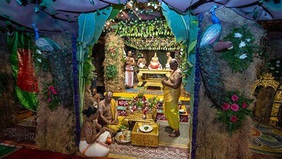 <p>ఈ ఏడాది వసంతోత్సవాల కోసం టీటీడీ ఉద్యానవన విభాగం ప్రత్యేక ఏర్పాట్లు చేసింది. డెప్యూటీ డైరెక్టర్ శ్రీనివాసులు ఆధ్వర్యంలో శుక్రవారపు తోటను అచ్చం శేషాచలం అడవిని తలపించేలా తీర్చిదిద్దారు. పచ్చని చెట్లు, వివిధ రకాల జంతువుల ఆకృతులు భక్తులను కట్టిపడేస్తున్నాయి.</p><p> </p> <p>ఈ ఏడాది వసంతోత్సవాల కోసం టీటీడీ ఉద్యానవన విభాగం ప్రత్యేక ఏర్పాట్లు చేసింది. డెప్యూటీ డైరెక్టర్ శ్రీనివాసులు ఆధ్వర్యంలో శుక్రవారపు తోటను అచ్చం శేషాచలం అడవిని తలపించేలా తీర్చిదిద్దారు. పచ్చని చెట్లు, వివిధ రకాల జంతువుల ఆకృతులు భక్తులను కట్టిపడేస్తున్నాయి.</p><p> </p>