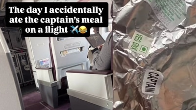 Woman on Delhi–Bengaluru flight served ‘Captain’s meal’ after veggie request for toddler. (Instagram@sonysingh_ss)