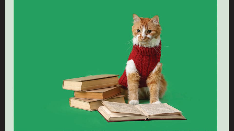 Another reason to love kitties: They saved members from fines at a public library in Massachusetts. (ADOBE STOCK)