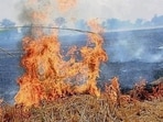Around 900 straw-related blazes were reported between April 1 and 30, an increase from 450 during the same period last year, the data, seen by HT, shows. (HT Archive)