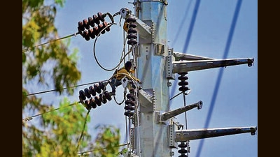 According to officials, the new 66kV overhead lines linking Ferozepur Road, PAU and Sarabha Nagar will reduce repair time that earlier took two to three days to restore. (Gurpreet Singh/HT) According to officials, the new 66kV overhead lines linking Ferozepur Road, PAU and Sarabha Nagar will reduce repair time that earlier took two to three days to restore. (Gurpreet Singh/HT)