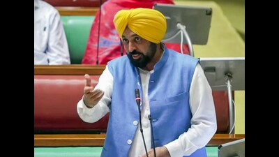 Punjab chief minister Bhagwant Mann speaks in the state assembly on Friday. (ANI Video Grab) Punjab chief minister Bhagwant Mann speaks in the state assembly on Friday. (ANI Video Grab)