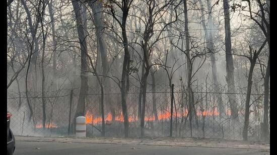 Lucknow’s total nine fire stations with nearly 30 fire tenders and 200 fire fighters remained stretched, responding to a wide spectrum of emergencies from residential and commercial fires to blazes in open, cars, transformers often back-to-back, leaving little downtime for crews. (File Photo)