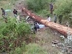 Driver Suresh Chand of Tara Devi, Ropdi, and Reena Kumari of Kathed, Sarkaghat, sustained injuries and were rushed to a nearby hospital. (HT Photo)