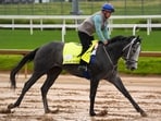 Kentucky Derby alternate Great White works out at Churchill Downs Wednesday, April 29, 2026, in Louisville, Ky. (AP Photo/Charlie Riedel)