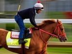 Kentucky Derby entrant The Puma works out at Churchill Downs Friday, May 1, 2026, in Louisville, Ky. (AP Photo/Charlie Riedel) Kentucky Derby entrant The Puma works out at Churchill Downs Friday, May 1, 2026, in Louisville, Ky. (AP Photo/Charlie Riedel)