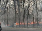 Lucknow’s total nine fire stations with nearly 30 fire tenders and 200 fire fighters remained stretched, responding to a wide spectrum of emergencies from residential and commercial fires to blazes in open, cars, transformers often back-to-back, leaving little downtime for crews. (File Photo)