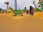 Official data shows steady arrivals and purchase of grain, but transport constraints delay clearance in several areas. (Gurpreet Singh/ht)