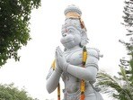 మే 12న తిరుమలలో హనుమజ్జయంతి వేడుకలు