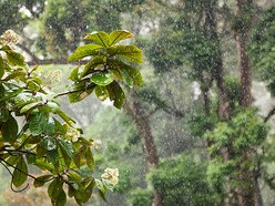 తెలంగాణకు వర్ష సూచన