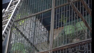 First responders at the scene said they struggled to rescue people from the rear lot of flats due to an iron grille covering the rear facade from the first to the fourth floor. (Arvind Yadav/ HT) First responders at the scene said they struggled to rescue people from the rear lot of flats due to an iron grille covering the rear facade from the first to the fourth floor. (Arvind Yadav/ HT)