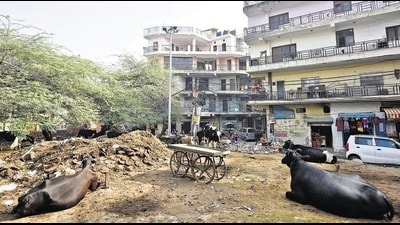 Municipal Corporation of Delhi (MCD) standing committee has cleared a proposal to grant urban status to 48 villages across the Capital. (HT Archive)