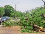 A sudden intense thunderstorm accompanied by high-velocity winds hit Ludhiana on Sunday morning, causing disruption and damage across the city. (Gurpreet Singh/HT) A sudden intense thunderstorm accompanied by high-velocity winds hit Ludhiana on Sunday morning, causing disruption and damage across the city. (Gurpreet Singh/HT)