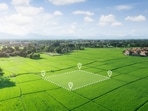 The department of housing and urban development has prepared a draft of the new policy, which is expected to be tabled at the upcoming cabinet meeting for approval. (Shutterstock) The department of housing and urban development has prepared a draft of the new policy, which is expected to be tabled at the upcoming cabinet meeting for approval. (Shutterstock)