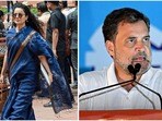Kangana Ranaut: రాహుల్ గాంధీని కంగనా నిజంగానే పెళ్లి చేసుకుంటోందా.. ఈ పుకార్లపై ఆమె రియాక్షన్ ఇలా..(ANI; AFP)