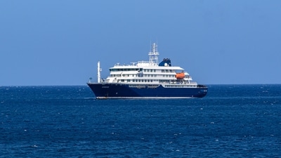 Influencer breaks down on camera as fear of hantavirus grows on cruise ship. (AFP) Influencer breaks down on camera as fear of hantavirus grows on cruise ship. (AFP)