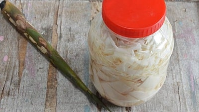 Fermented Bamboo Shoot Pickle (Freepik) Fermented Bamboo Shoot Pickle (Freepik)